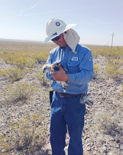 Environmental Efforts Avian Program