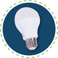 LED Light Bulbs